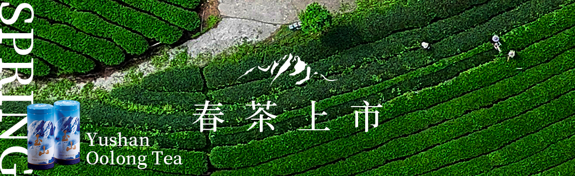 春茶上市